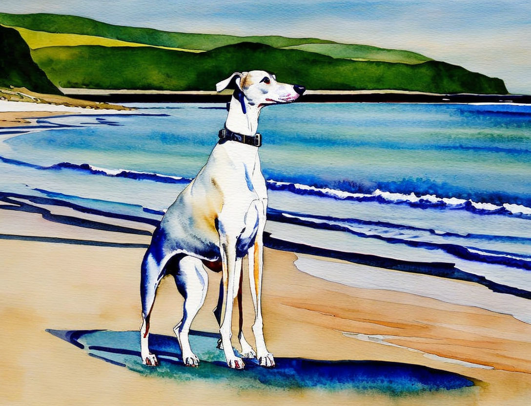 White and Grey Dog with Black Collar on Sunny Beach Watercolor Painting