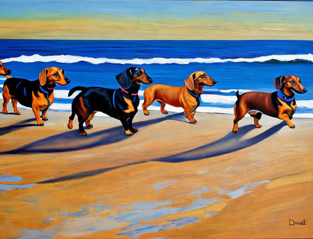 Three Dachshunds Walking on Beach with Waves and Shadows