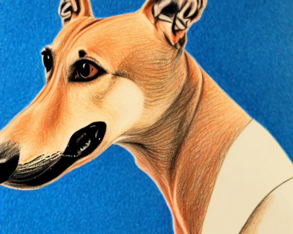 Realistic colored pencil drawing of a brown and white dog on blue background