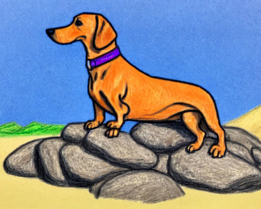 Colored Pencil Drawing: Orange Dog with Purple Collar on Gray Rocks