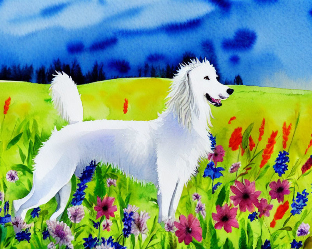 Fluffy white dog in colorful meadow with blue and red flowers