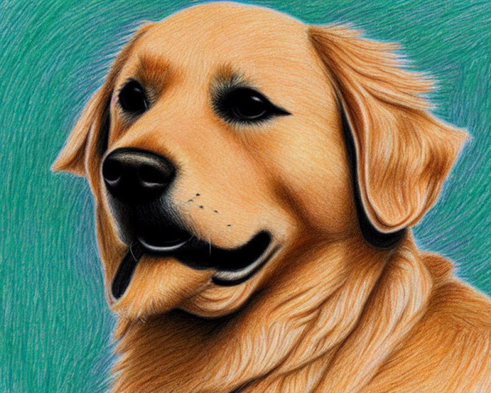 Realistic Golden Retriever Drawing with Colored Pencils on Teal Background