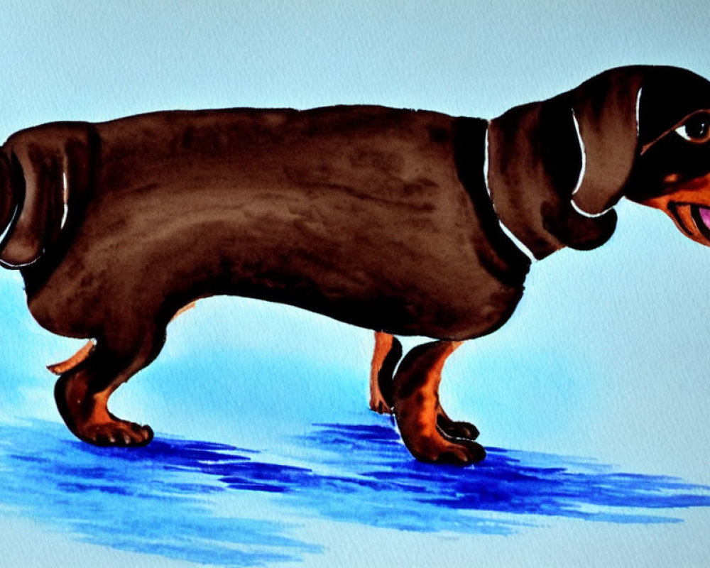 Brown Dachshund Watercolor Painting on Blue Surface