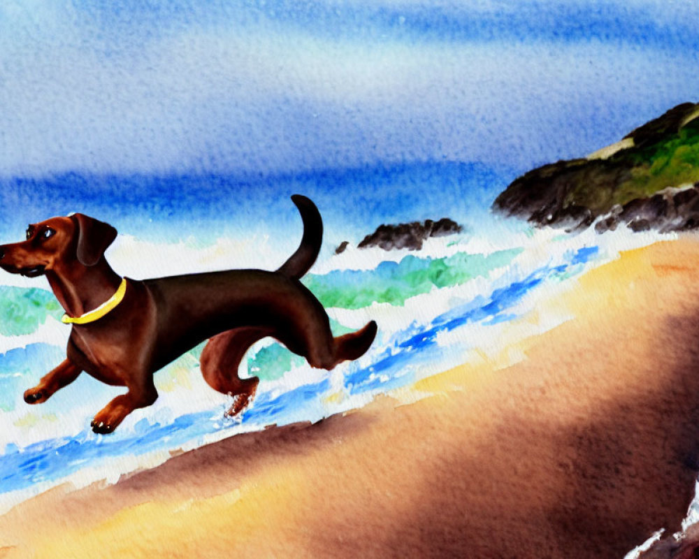 Brown Dachshund Running on Sandy Beach with Waves and Rocky Cliff