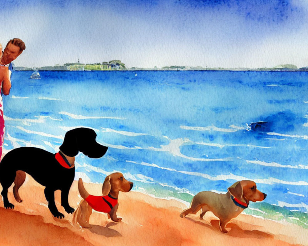 Couple embracing on beach with two dogs, calm seas, clear sky