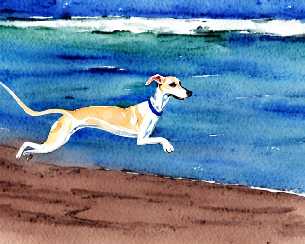 Joyful Tan and White Dog Running on Sandy Beach with Blue Waves