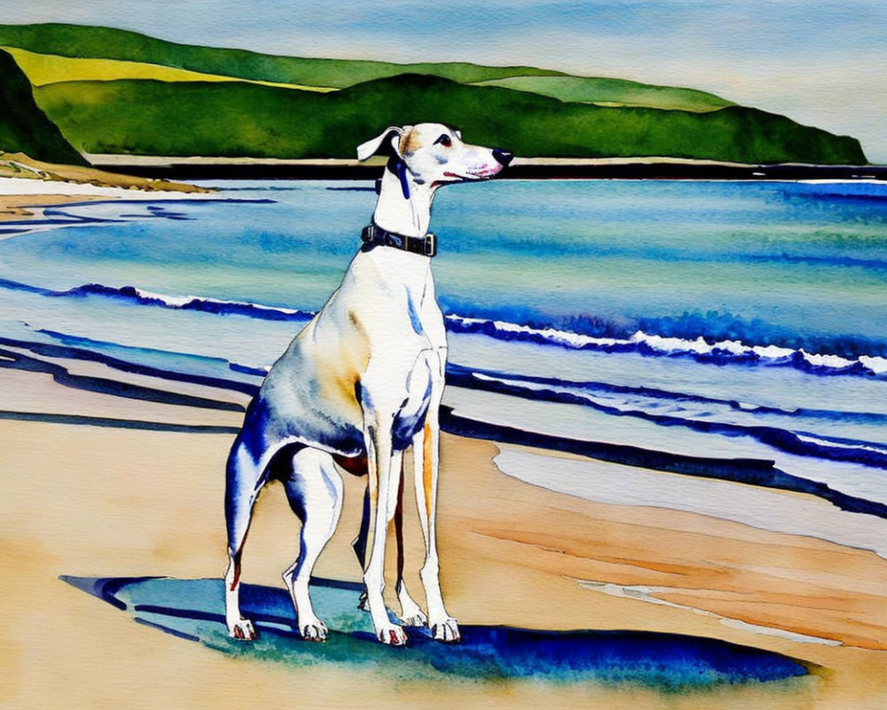 White and Grey Dog with Black Collar on Sunny Beach Watercolor Painting