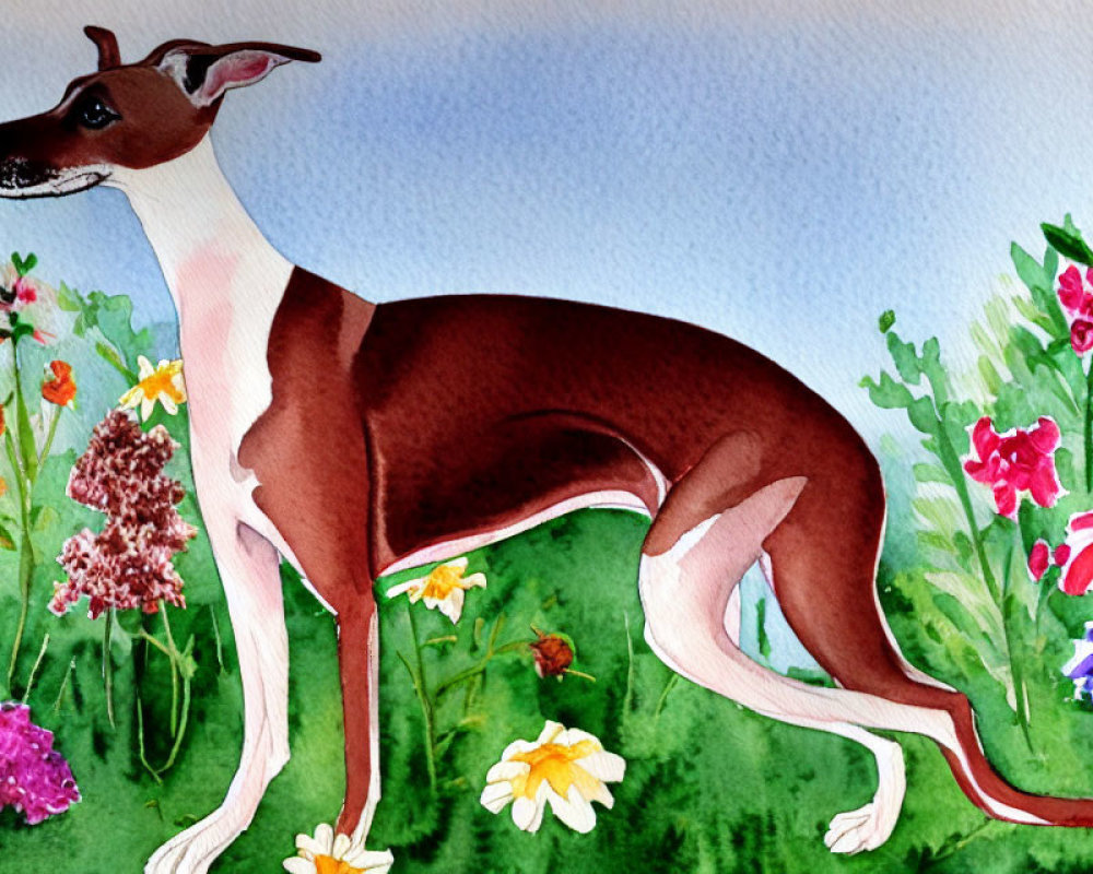 Slender Brown and White Dog Among Colorful Flowers in Watercolor