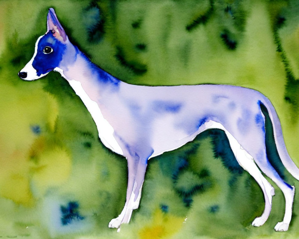 Slim Blue and White Dog Watercolor Painting on Blurred Green Background