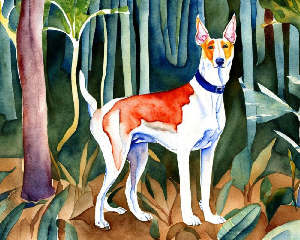 Slender Dog with White and Tan Coat in Green Forest Environment