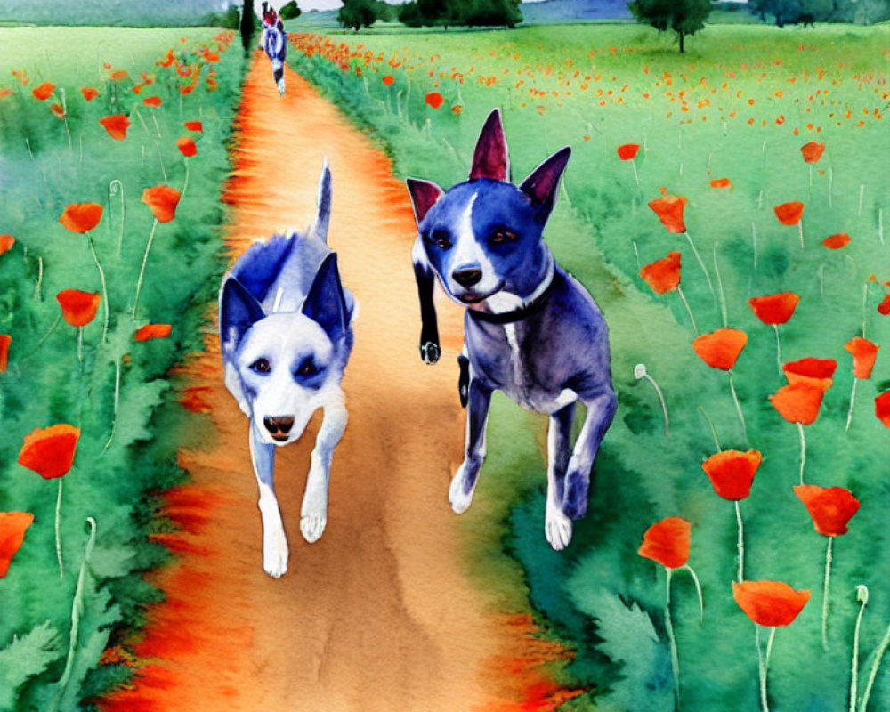 Two dogs running on dirt path with poppies, figure in distance under blue sky