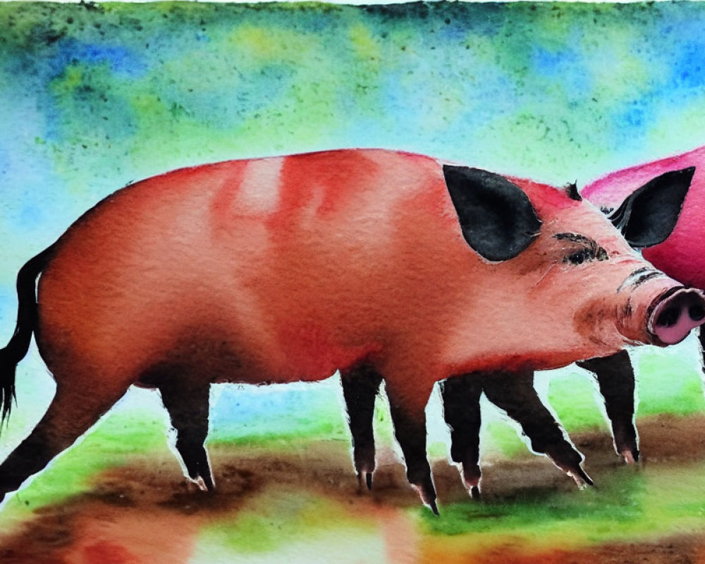 Vibrant pink pigs in watercolor against multicolored background