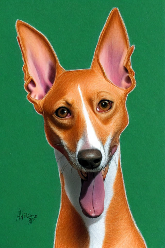 Realistic Brown and White Dog Drawing with Large Ears and Brown Eyes