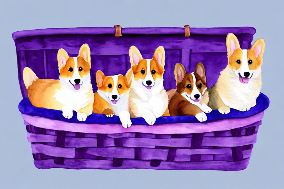 Five Cartoon Corgis in Purple Basket on Blue Watercolor Background