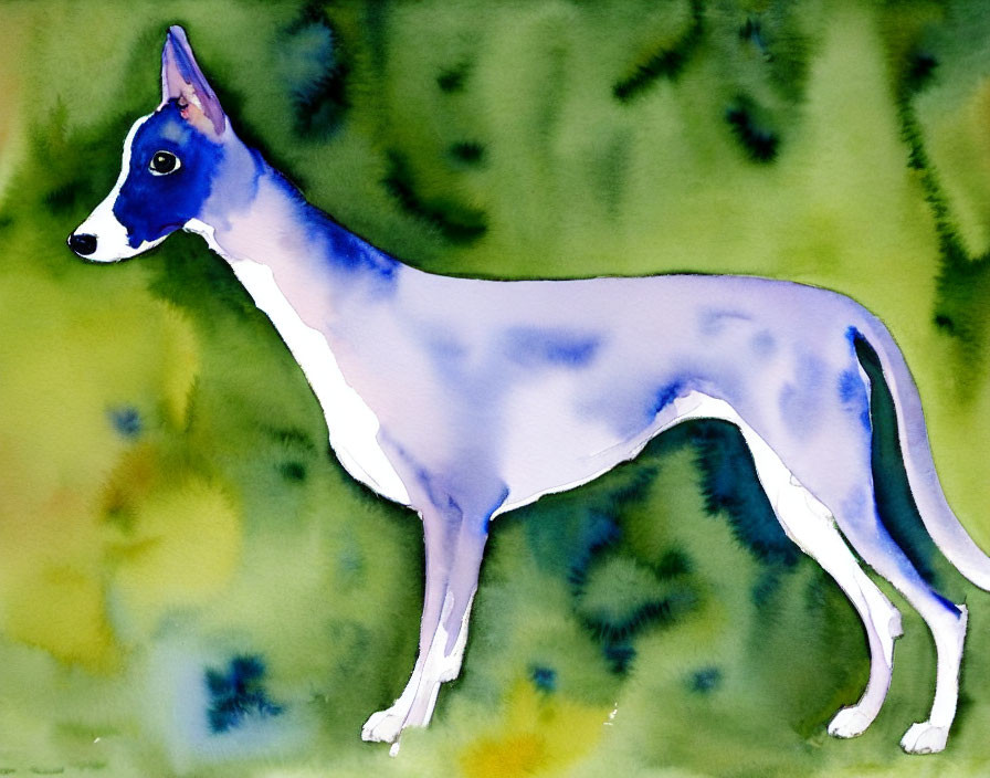 Slim Blue and White Dog Watercolor Painting on Blurred Green Background