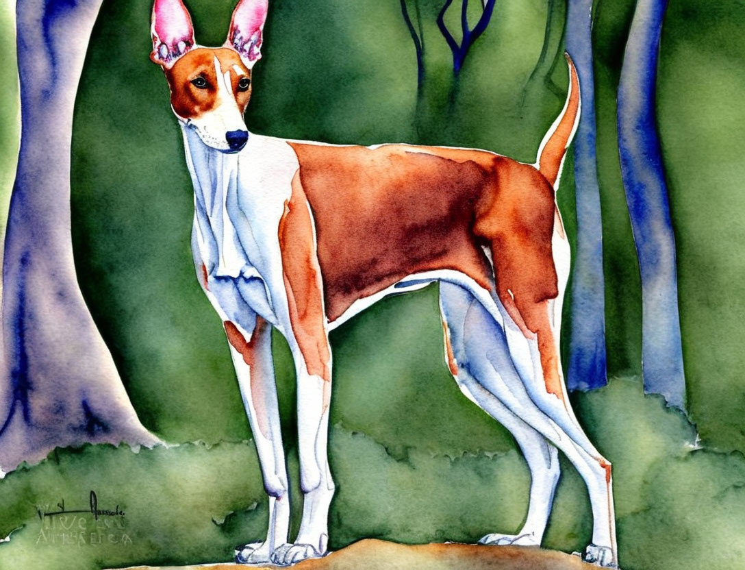 Slender Tan and White Dog in Forest Setting Watercolor Painting