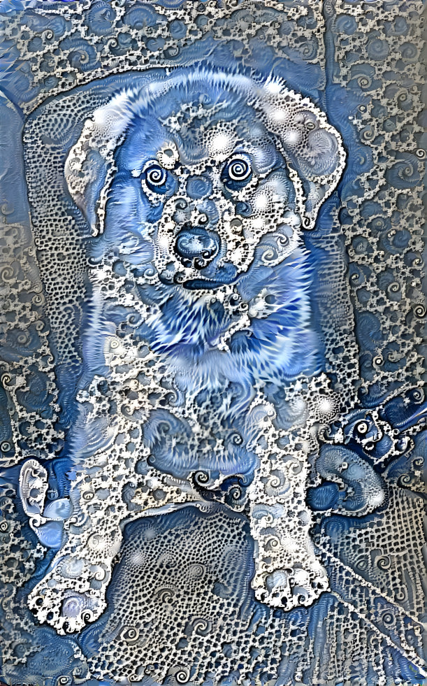 Lace dog