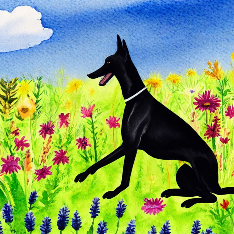 Black Dog Sitting in Colorful Meadow with Flowers Under Blue Sky