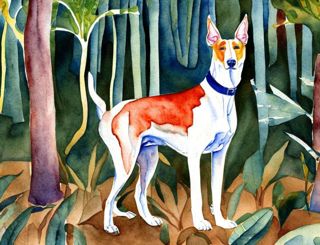 Slender Dog with White and Tan Coat in Green Forest Environment