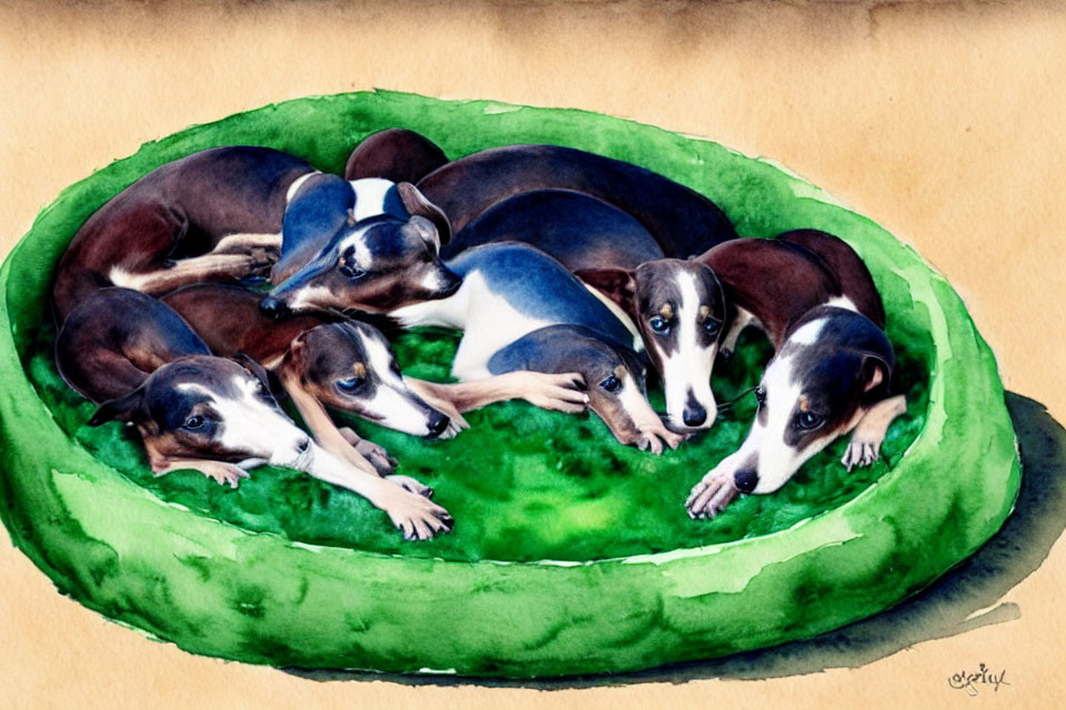 Italian Greyhound Puppies Cuddling in Green Dog Bed