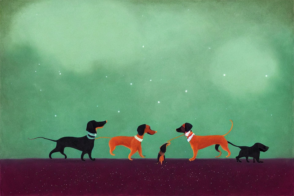 Four dogs of different sizes walking under starry green sky