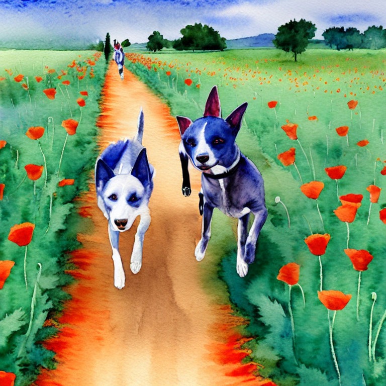 Two dogs running on dirt path with poppies, figure in distance under blue sky