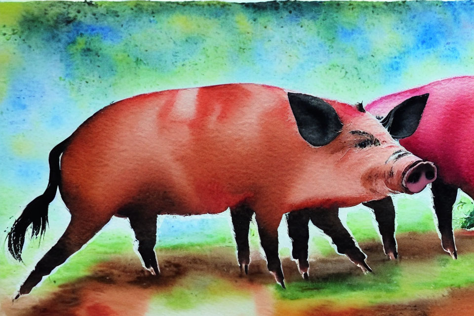 Vibrant pink pigs in watercolor against multicolored background