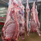 Meat processing facility with worker and hanging carcasses