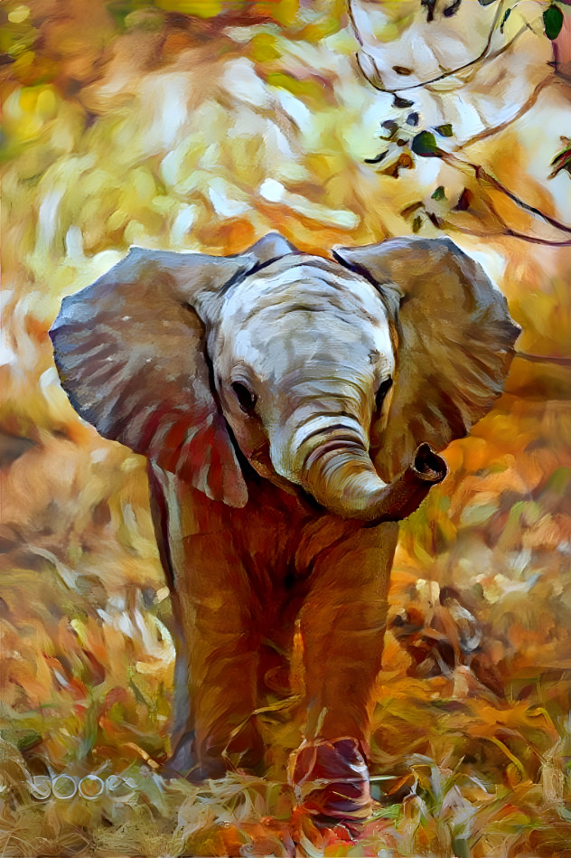 Elephant 