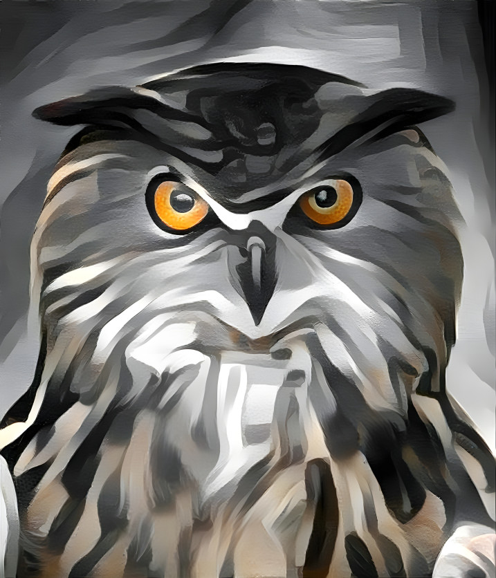 Owl