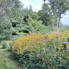 Colorful Landscape Painting with Winding Path and Wildflowers