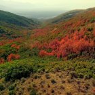 Colorful surreal landscape with undulating hills and alien-like terrain