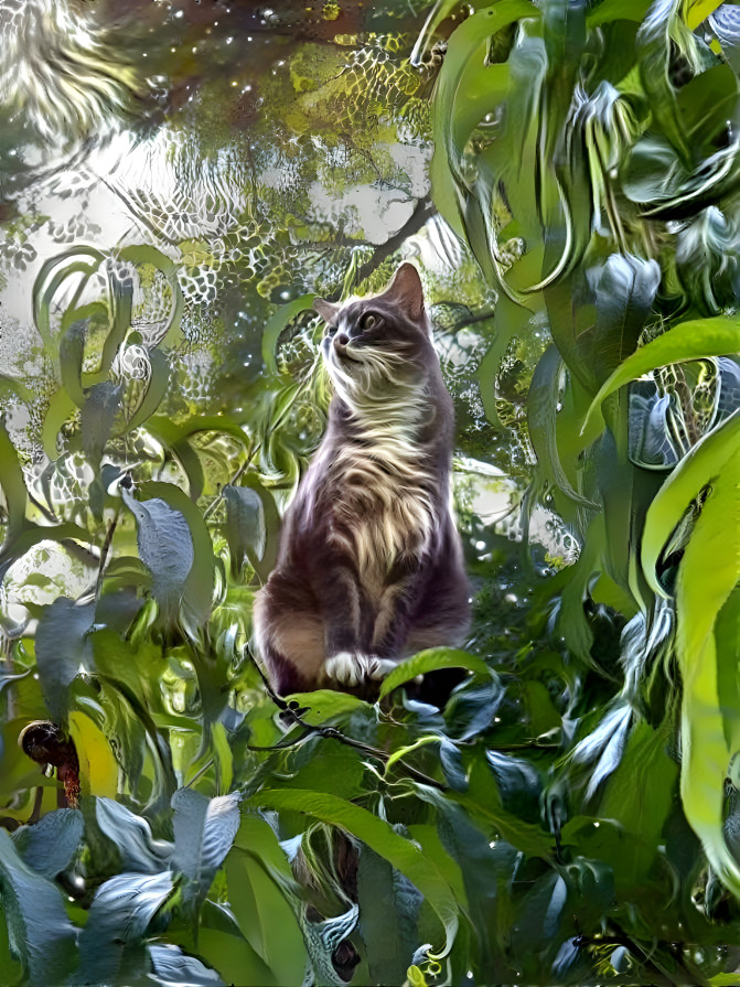 Jungle Cat