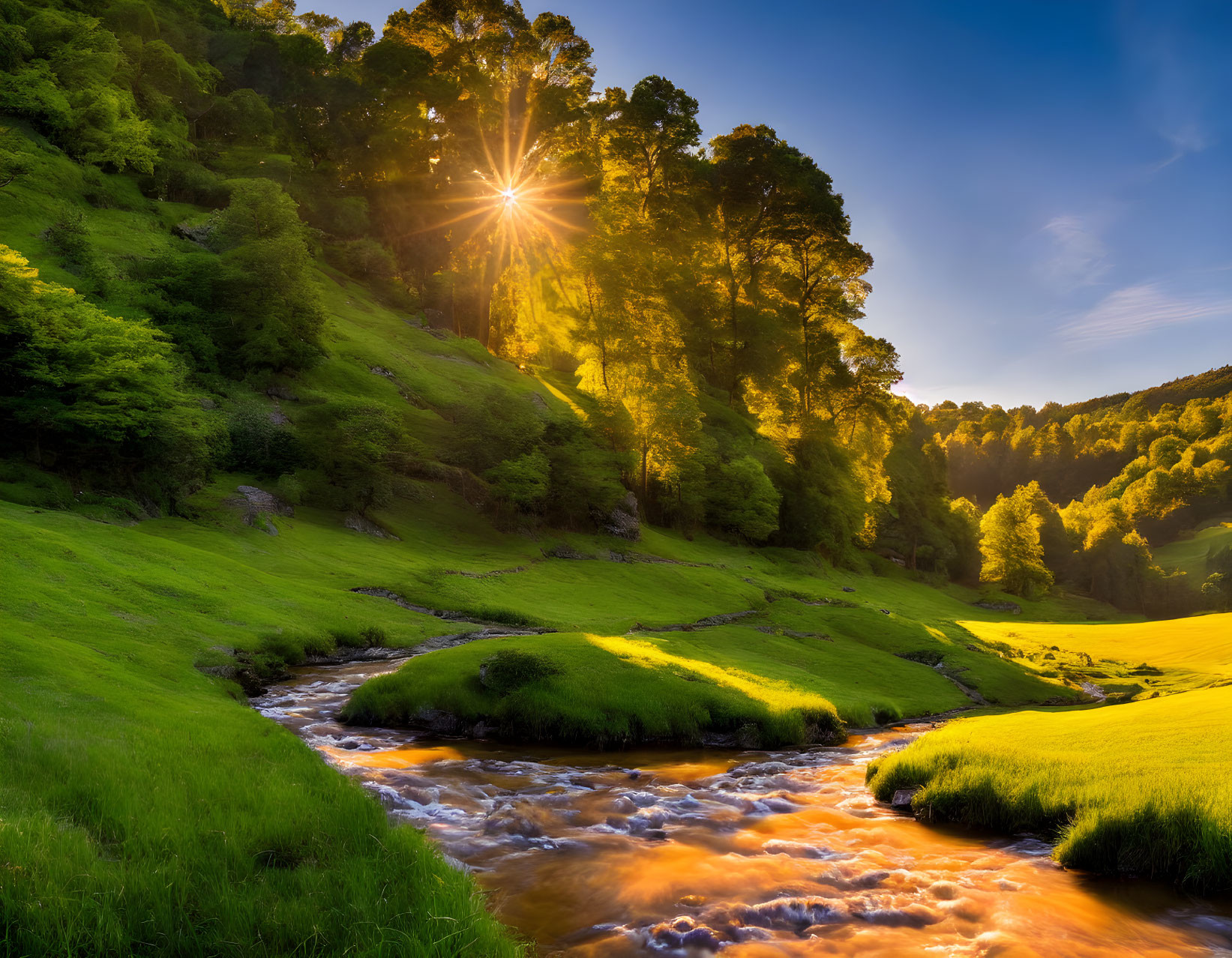 Tranquil stream in lush meadow with forested hills in golden sunlight