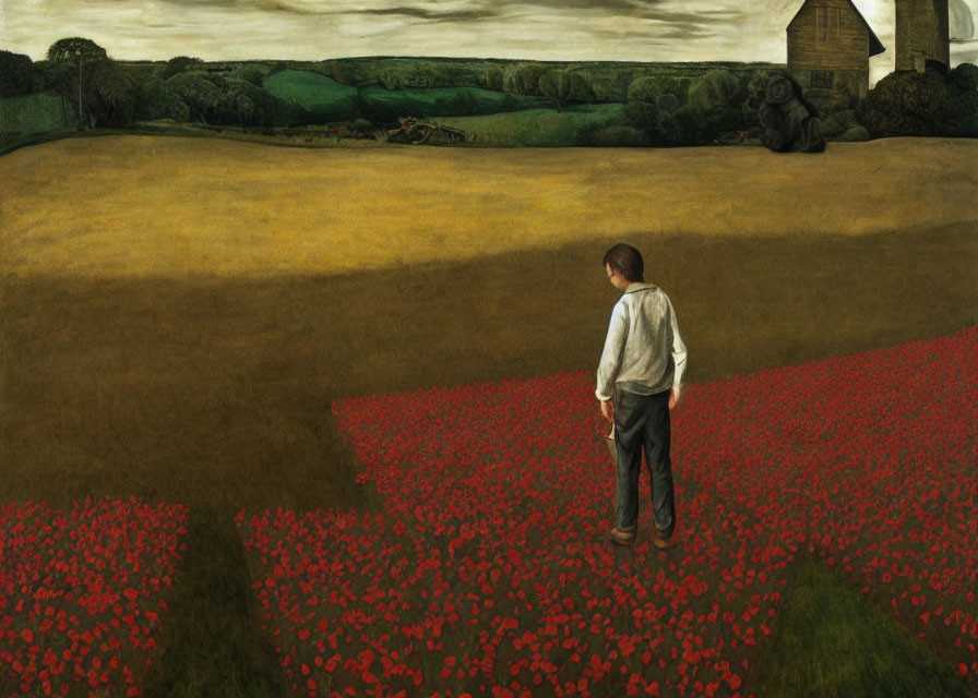 Man in red poppy field looking at farmhouse and gloomy sky