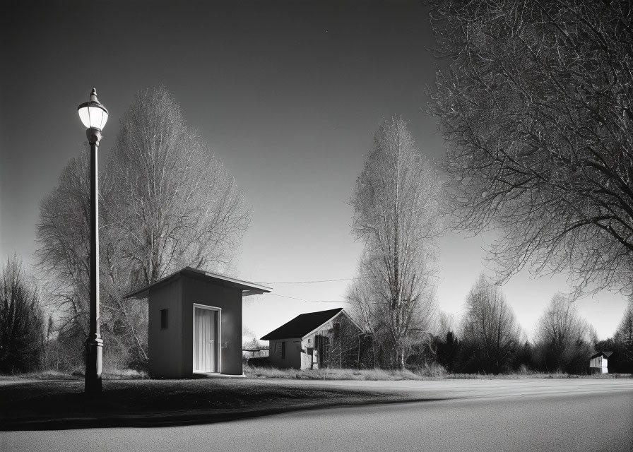 Monochrome street scene with lamp post, trees, and buildings