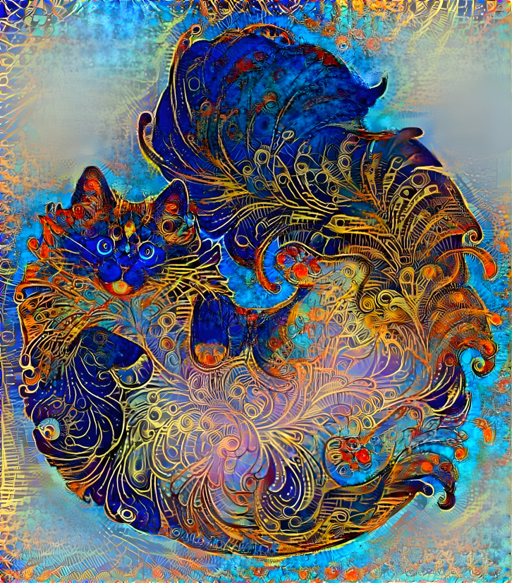 Mystic Cat