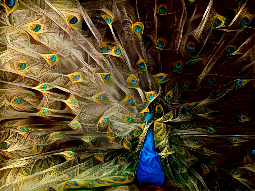 Peacock Feathering