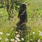 Ancient Moai statues in daisy-filled landscape