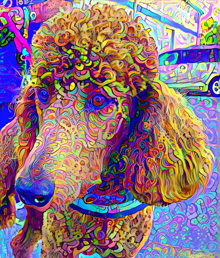 poodle noodle