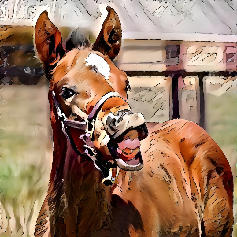 stenciled foal