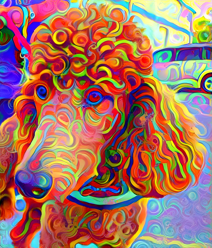 poodle noodle3