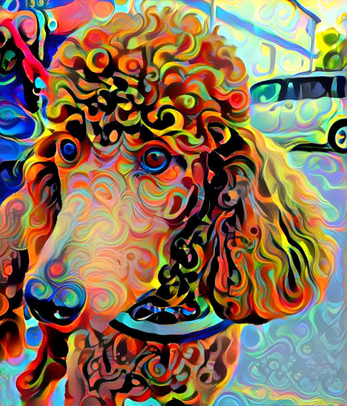 Better oodle poodle