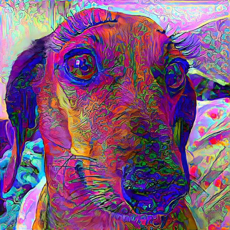 DAweinerdogincolor