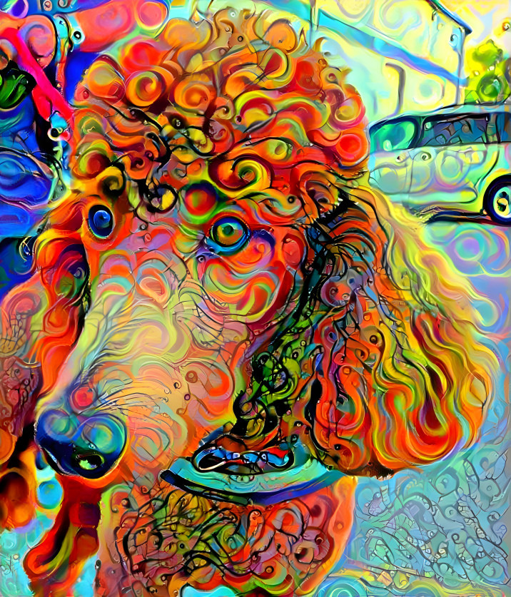 poodle oodle