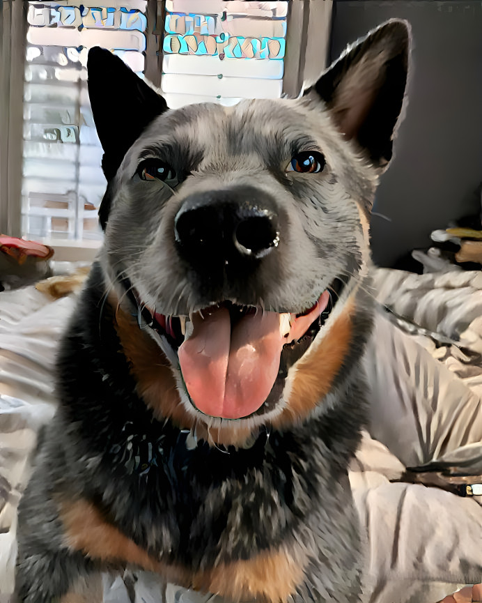 ACD 