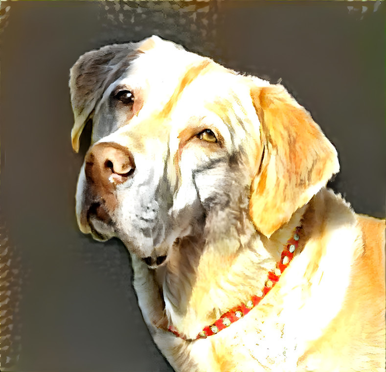 yellow lab watercolor