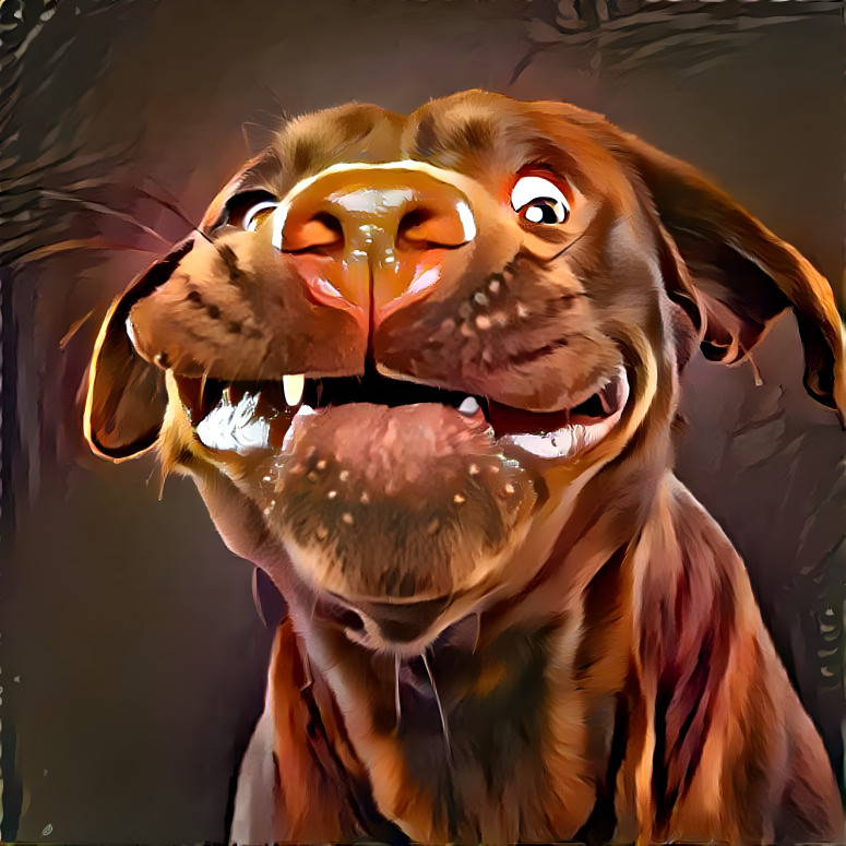 brownlabmix2