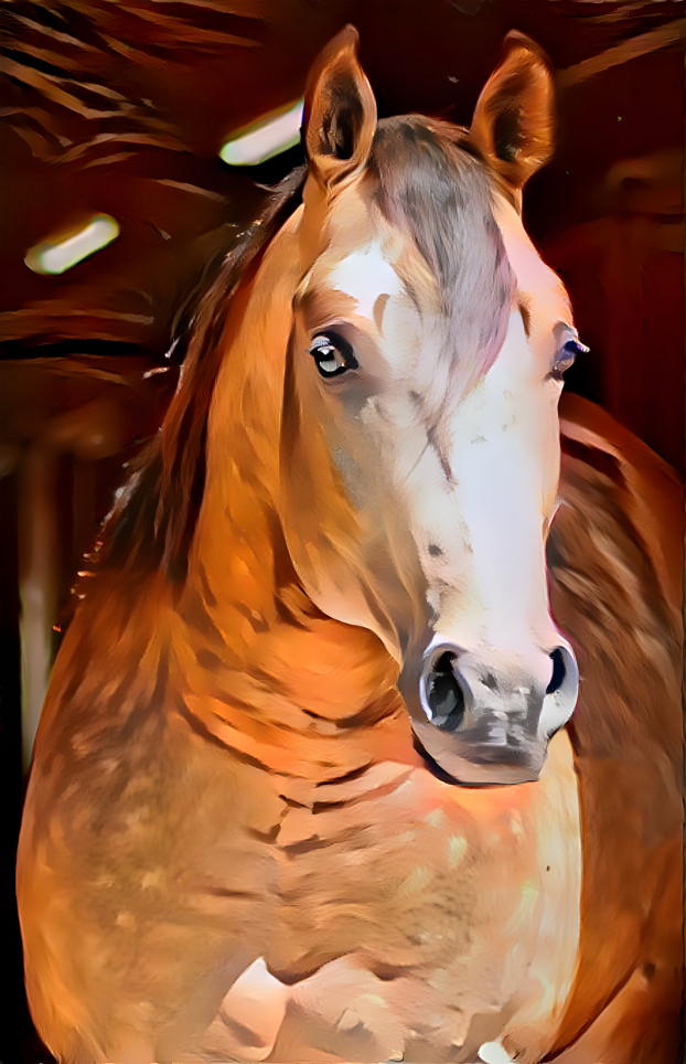 myredhorsefilter1