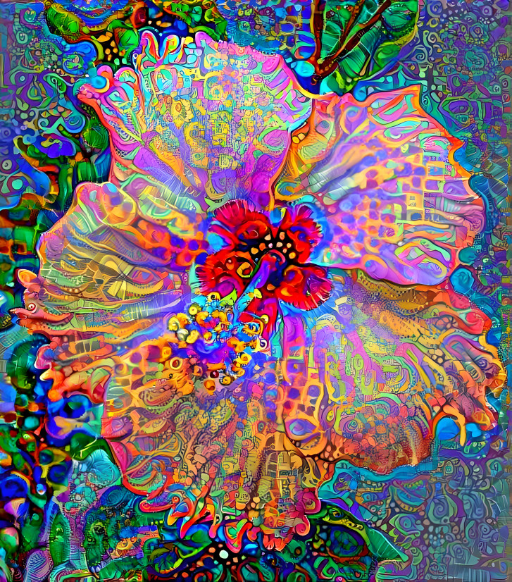 Hibiscus 1